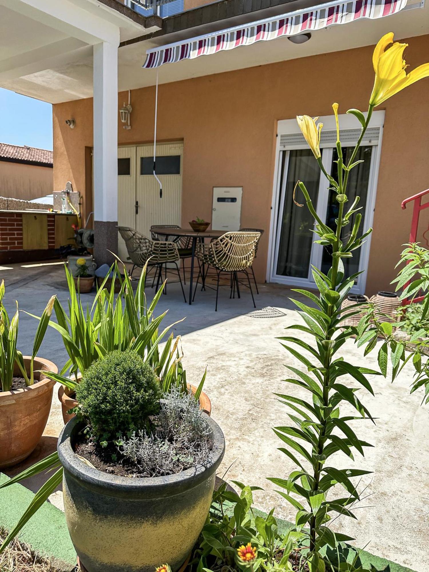 Apartments Dent Umag Exterior photo